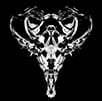 electronic music artist and sound designer